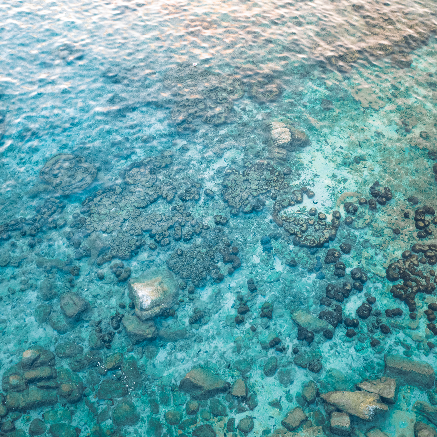 Azure Tide