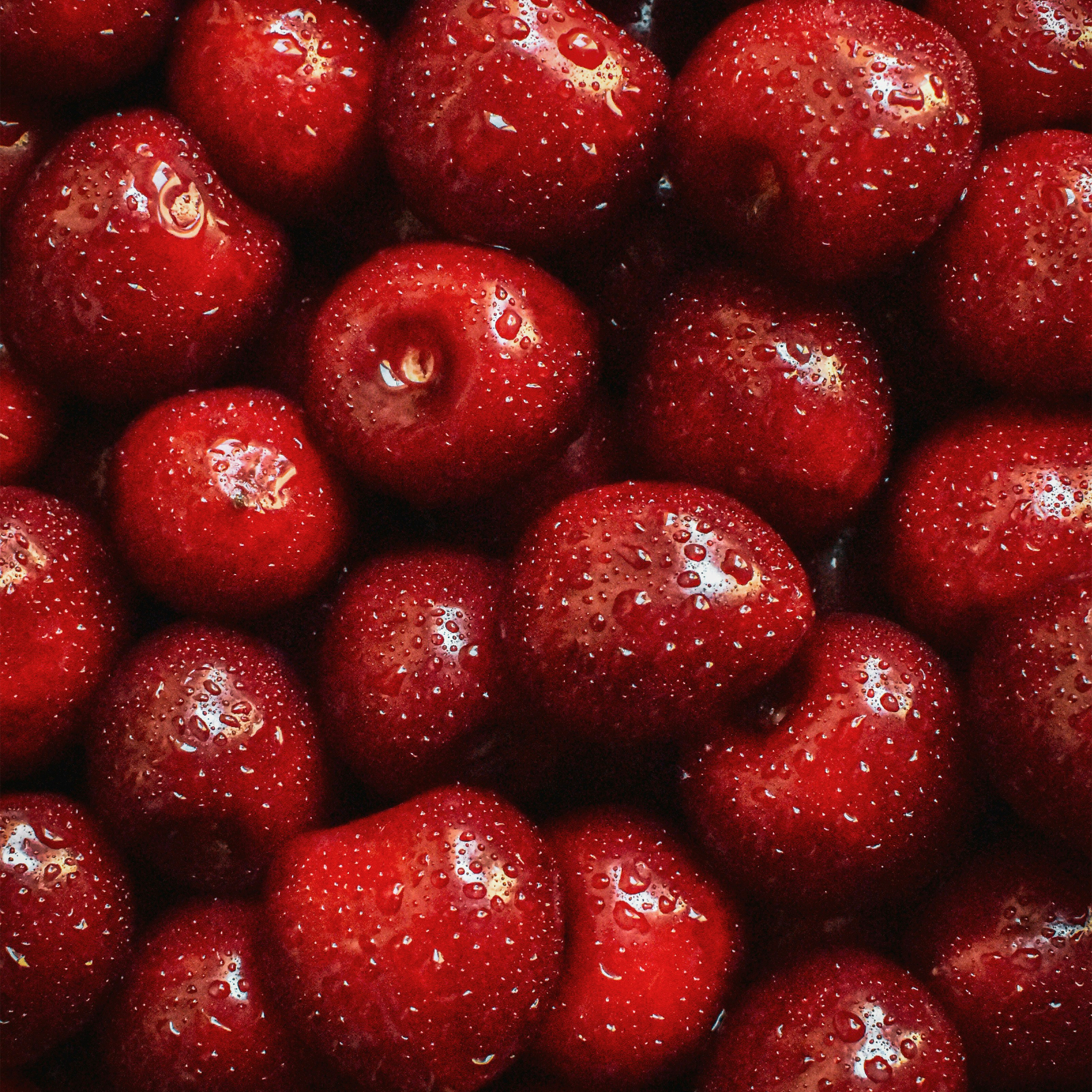 Black Cherry