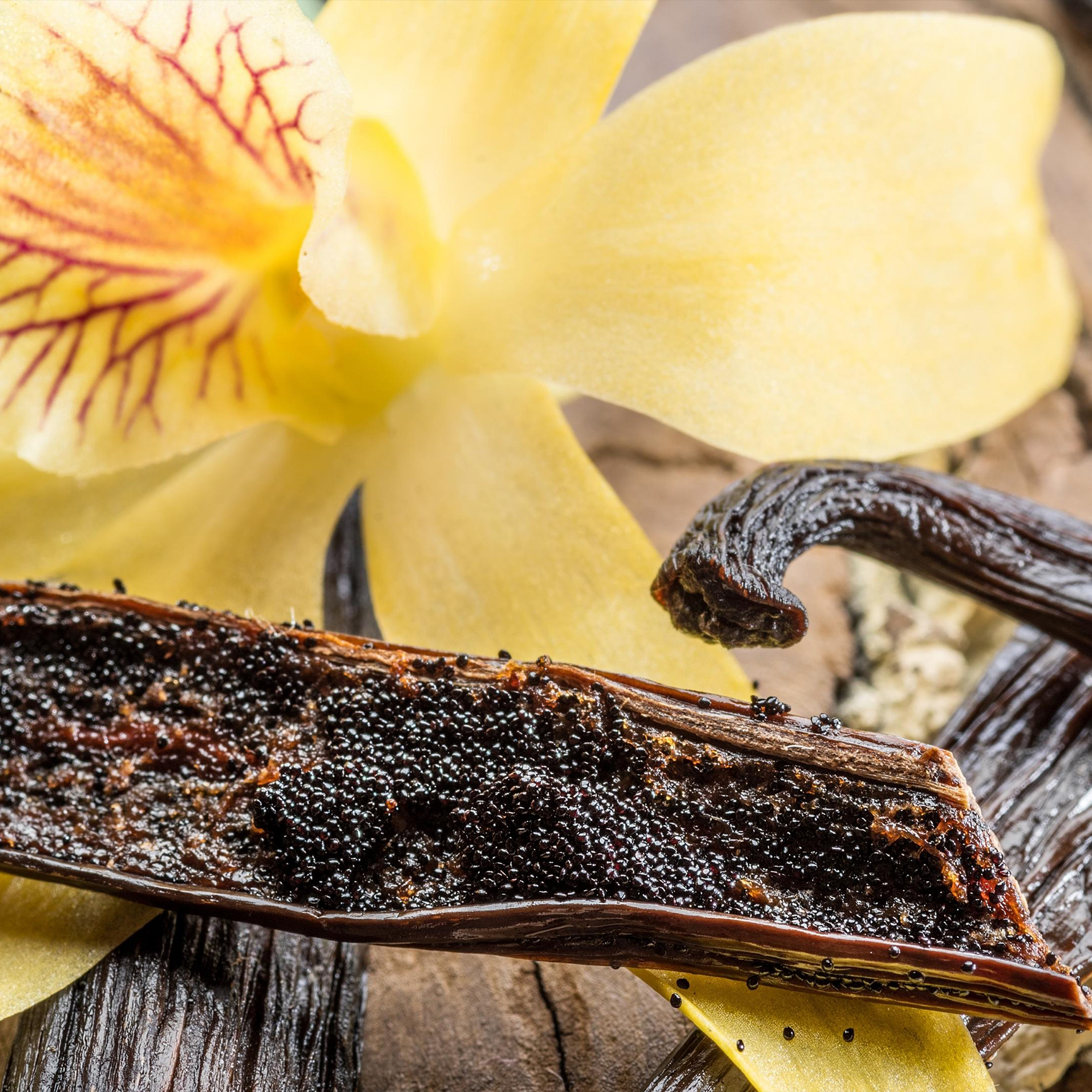 Vanilla Vetiver