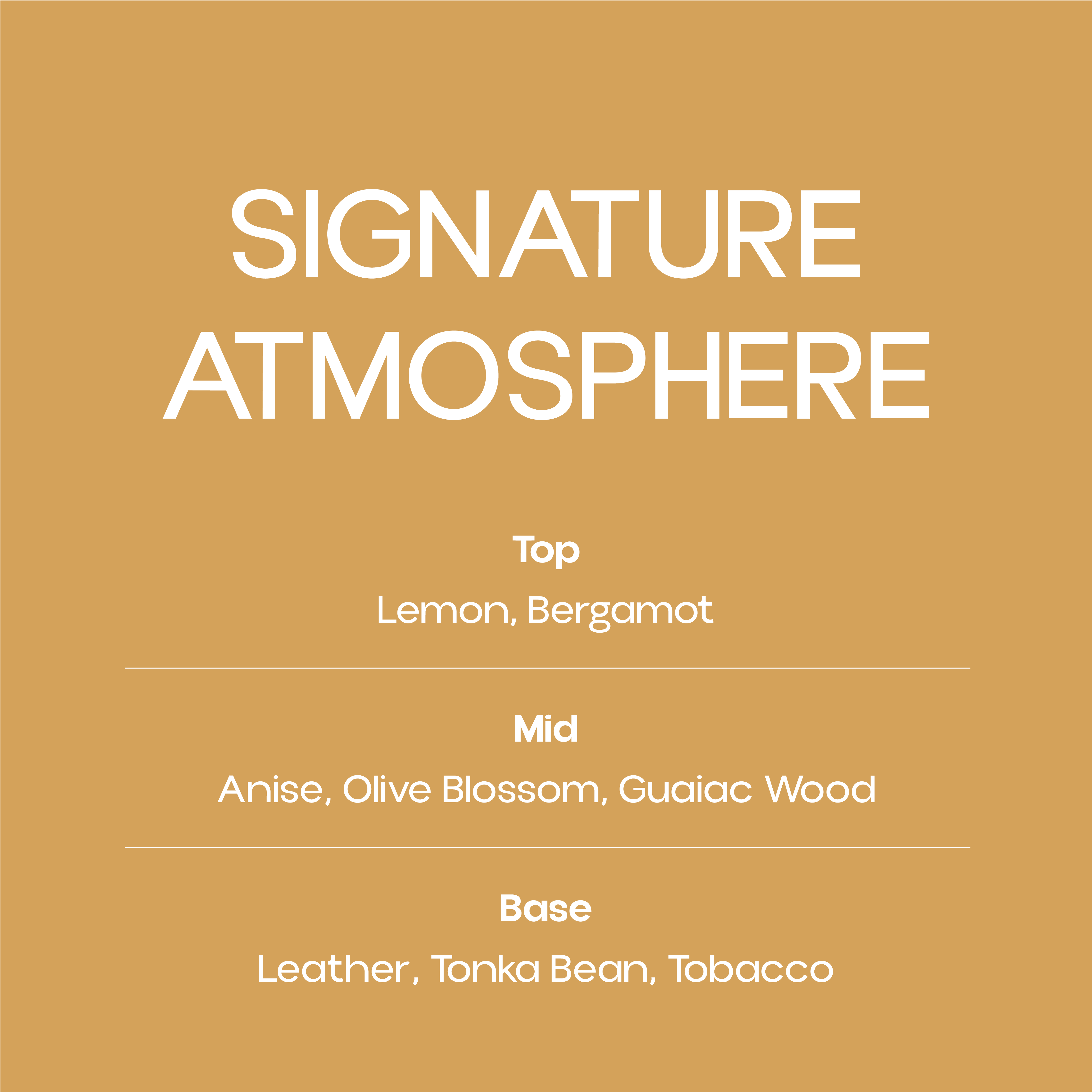 Signature Atmosphere