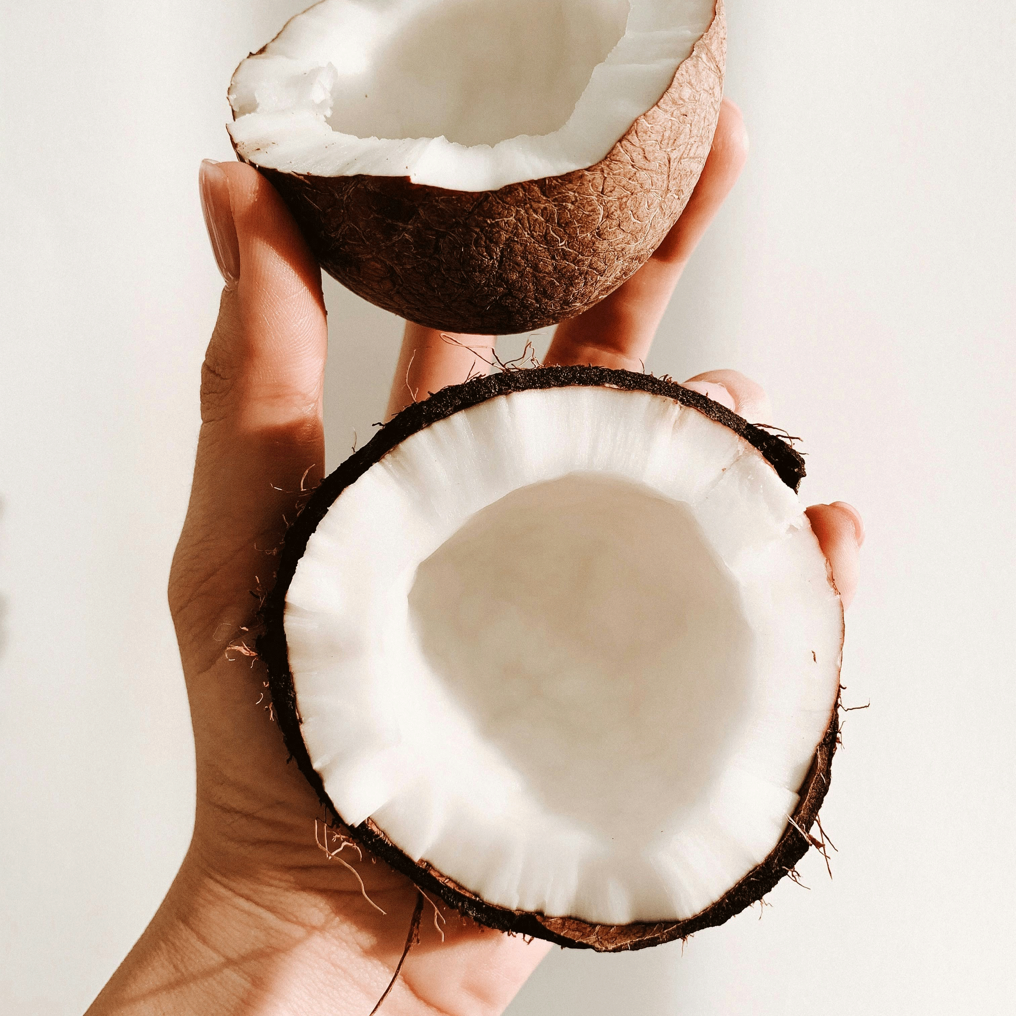 Coconut Cream
