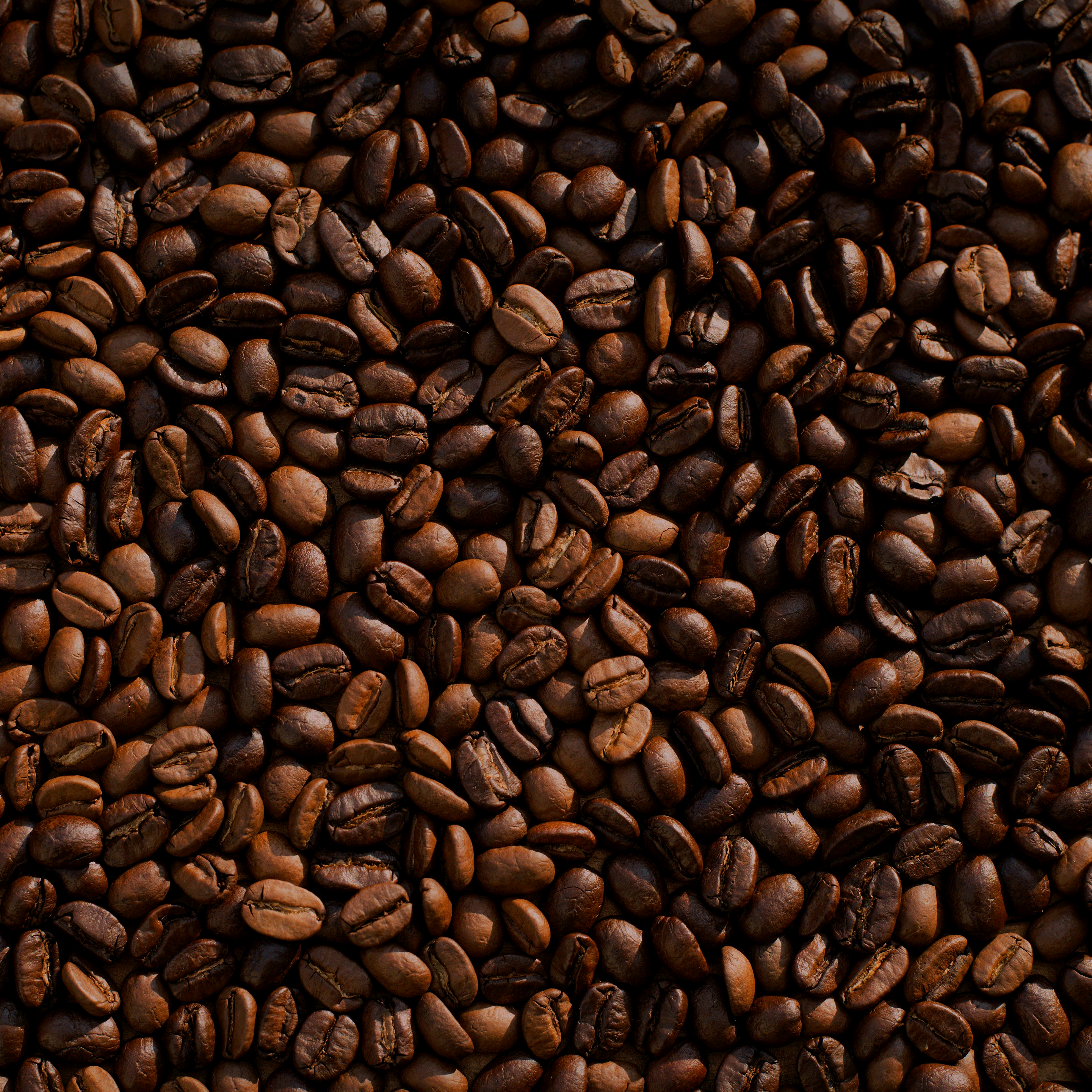 Dark Roast