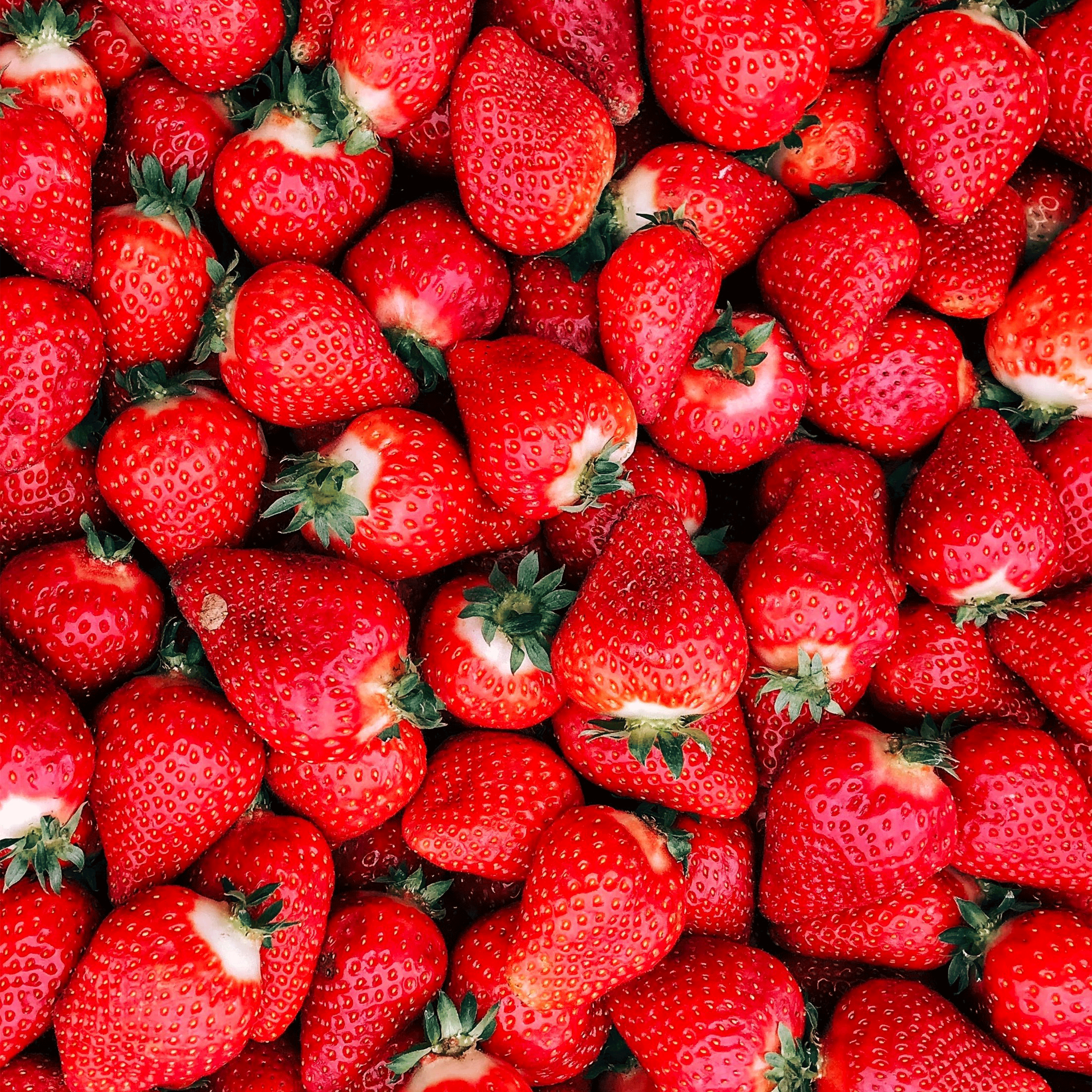 Wild Strawberry