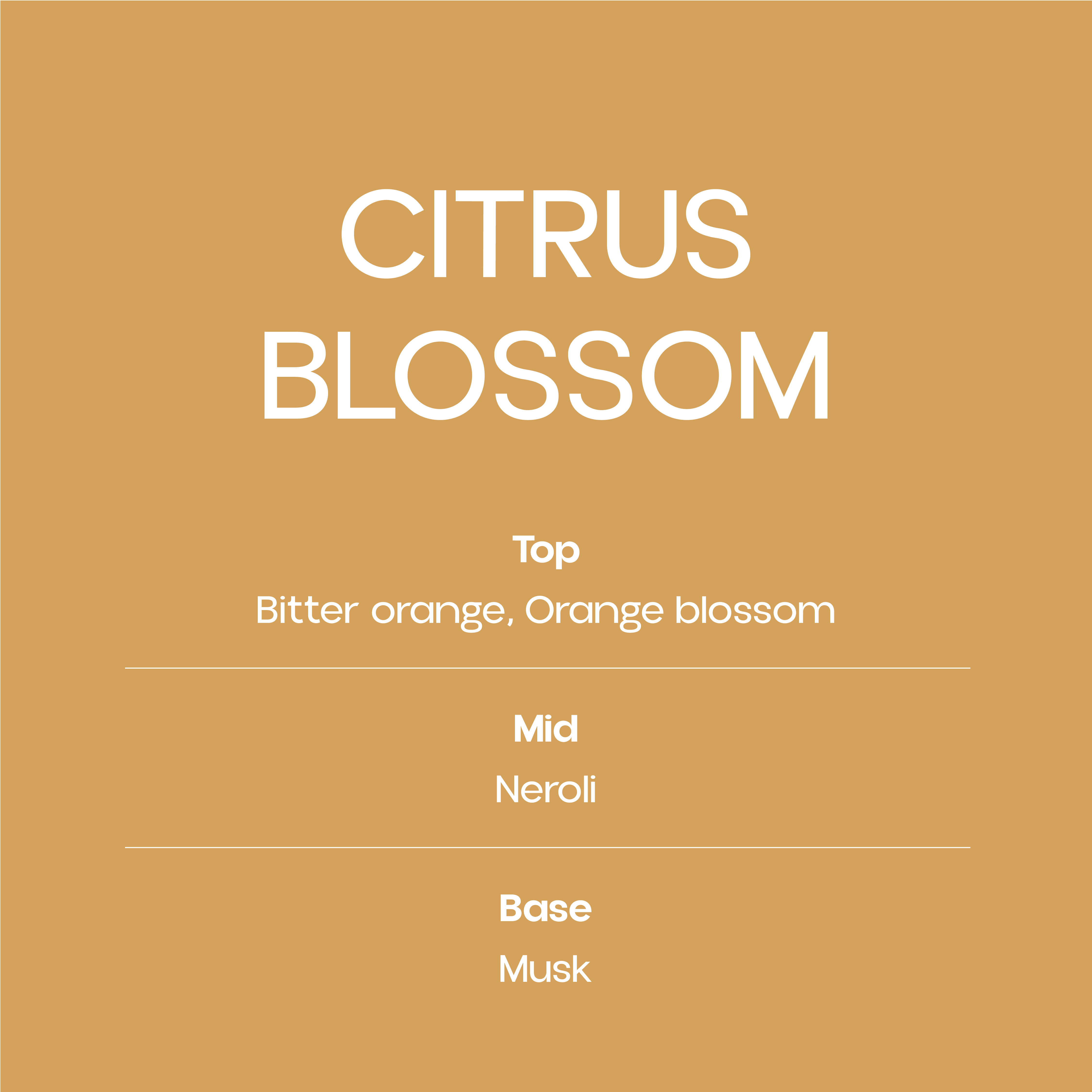 Citrus Blossom