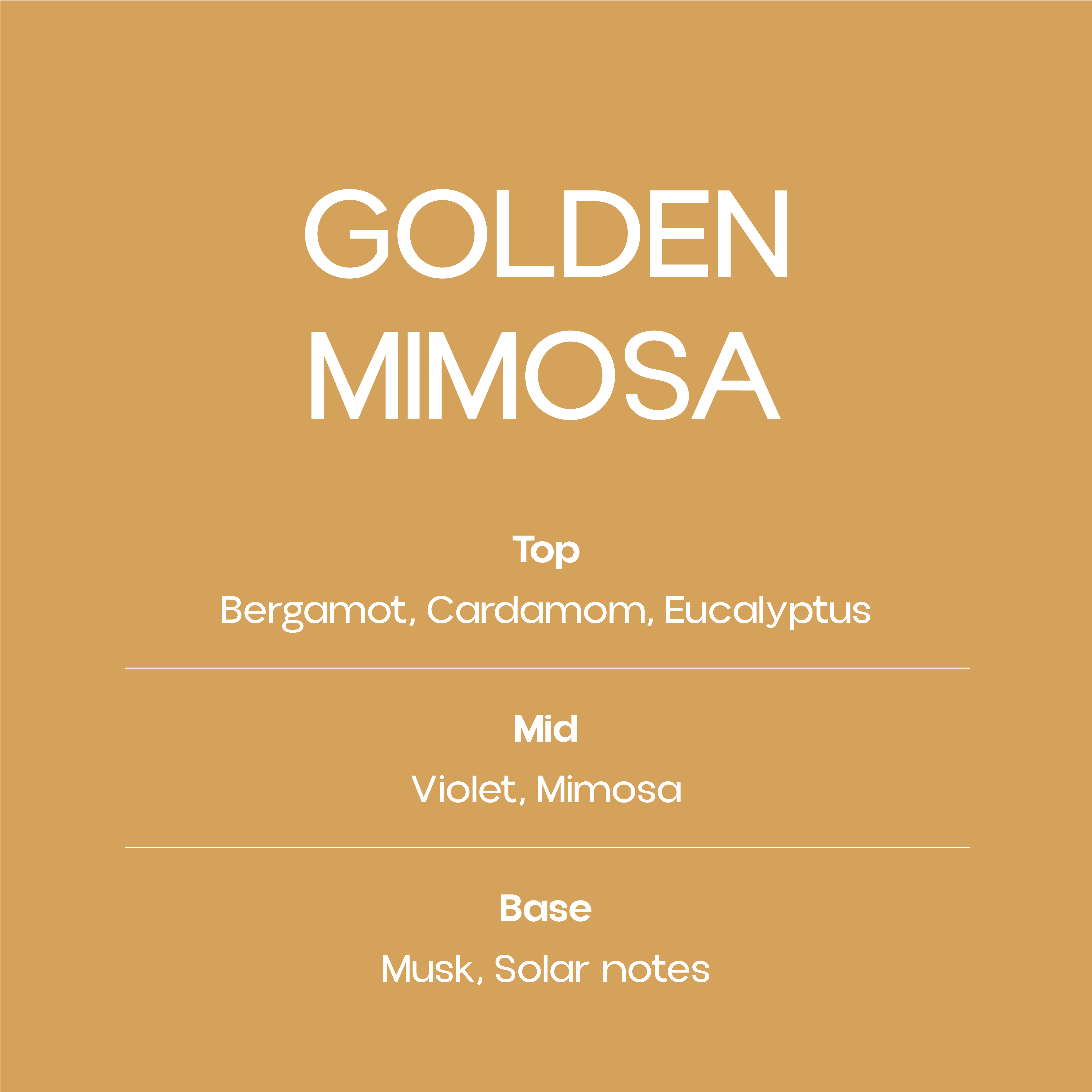 Golden Mimosa