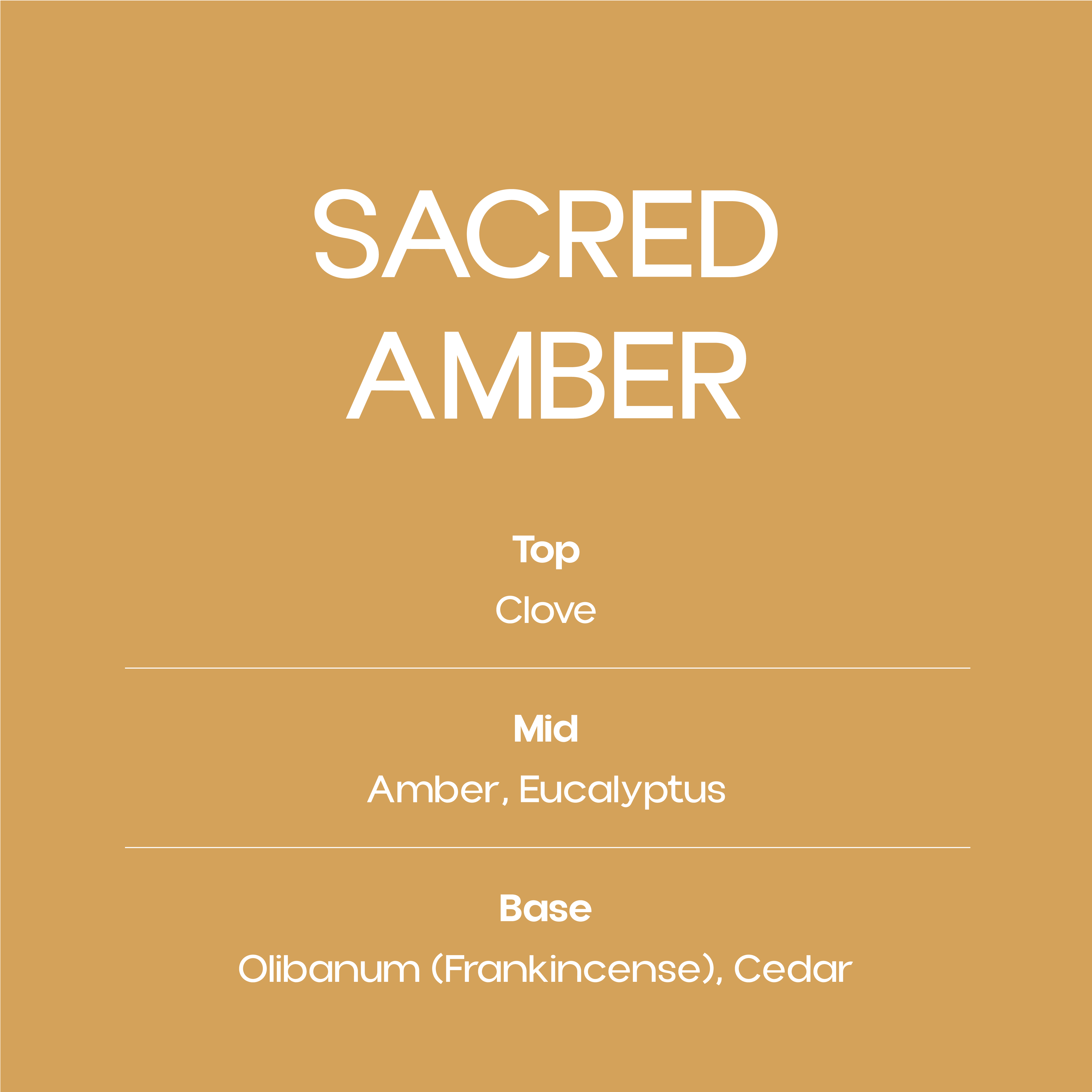 Sacred Amber